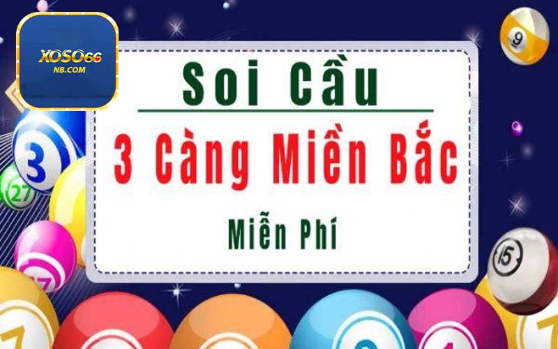 Phương pháp soi cẩu 3 càng hiệu quả